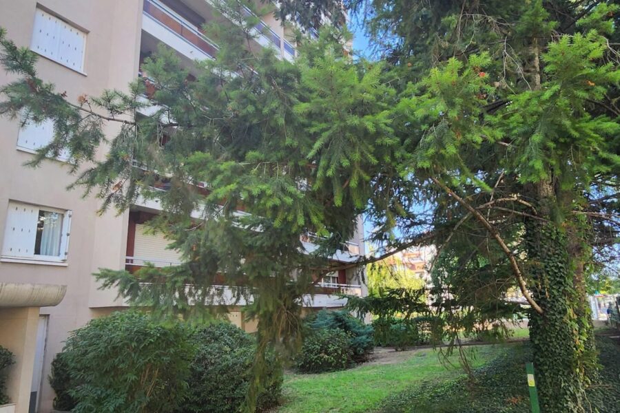 Appartement à vendre à Villeurbanne — Vue sur la ville — photo 22