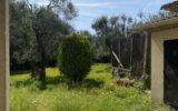 Maison à vendre à Mougins — Vue parc & jardin — photo 6