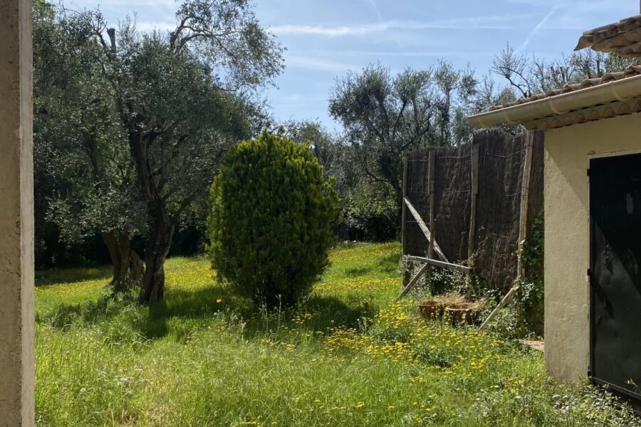 Maison à vendre à Mougins — Vue parc & jardin — photo 6