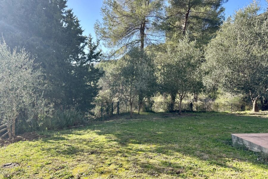 Maison à vendre à Falicon — Vue nature — photo 8