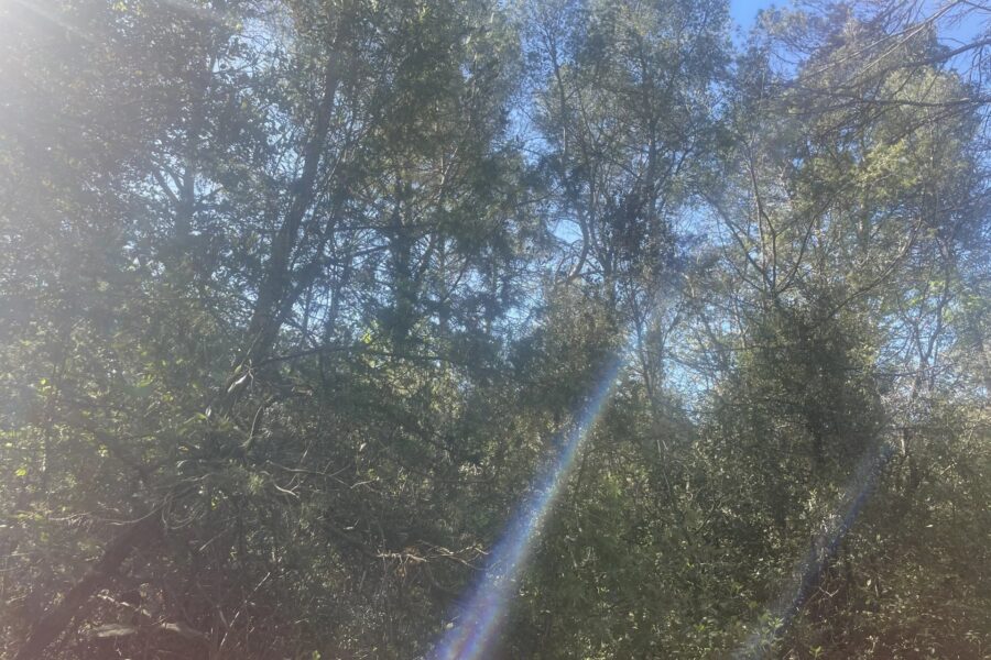 Terrain à vendre à Lorgues — Vue dégagée — photo 2
