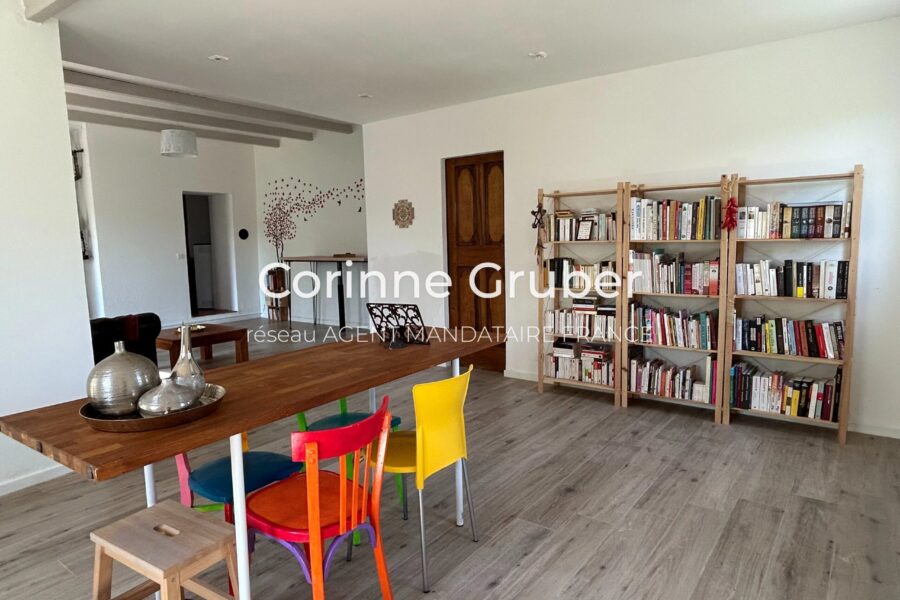 Maison à vendre à Digne-les-bains — Vue montagne — photo 25