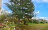 Maison à vendre à Iguerande — Vue nature — photo 3