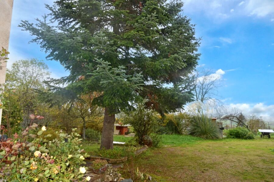 Maison à vendre à Iguerande — Vue nature — photo 3