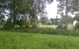 Terrain à vendre à Beaux — Vue nature — photo 4