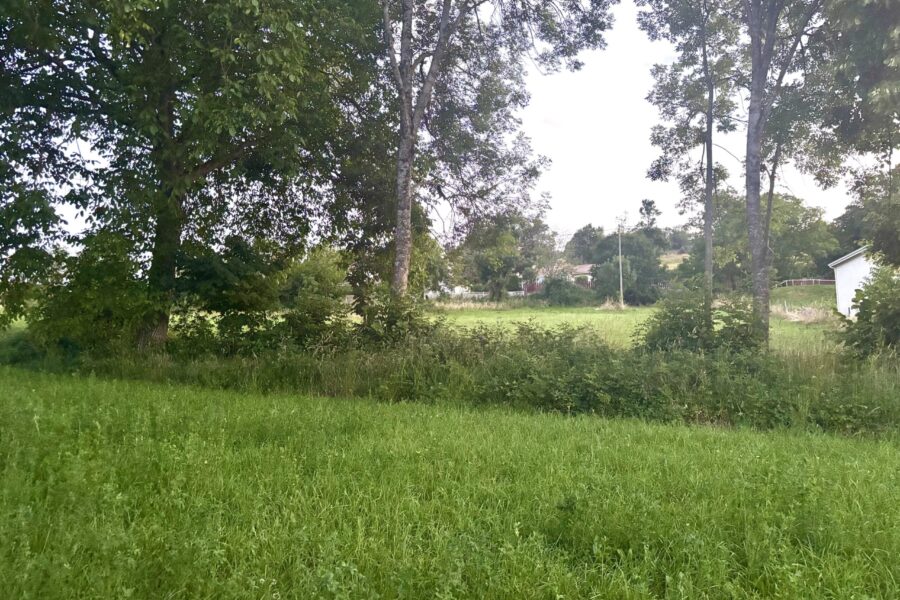 Terrain à vendre à Beaux — Vue nature — photo 4