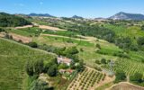 Maison à vendre à Serra san quirico — Vue nature — photo 1