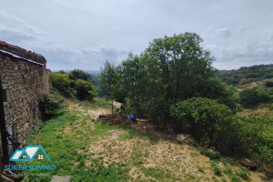 Maison à vendre à Saugues — Vue nature — photo 11