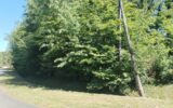 Terrain à vendre à Bazoches-sur-le-betz — Vue dégagée — photo 2