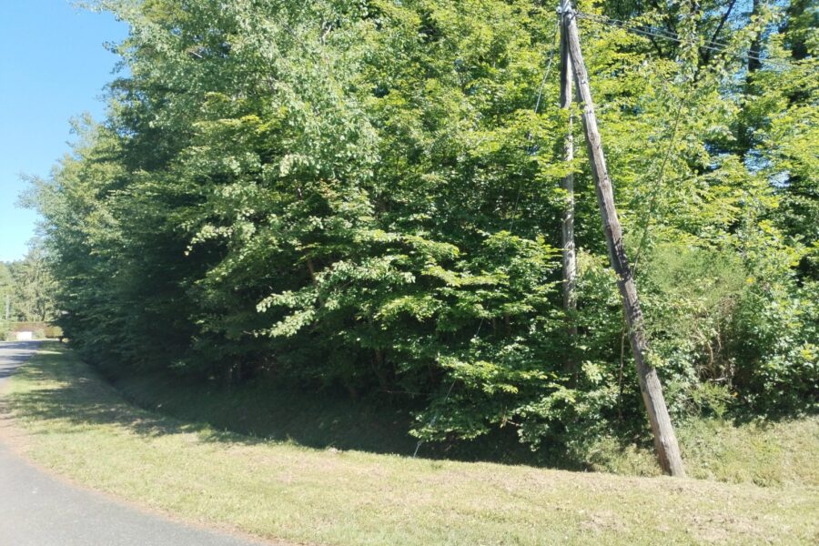 Terrain à vendre à Bazoches-sur-le-betz — Vue dégagée — photo 2