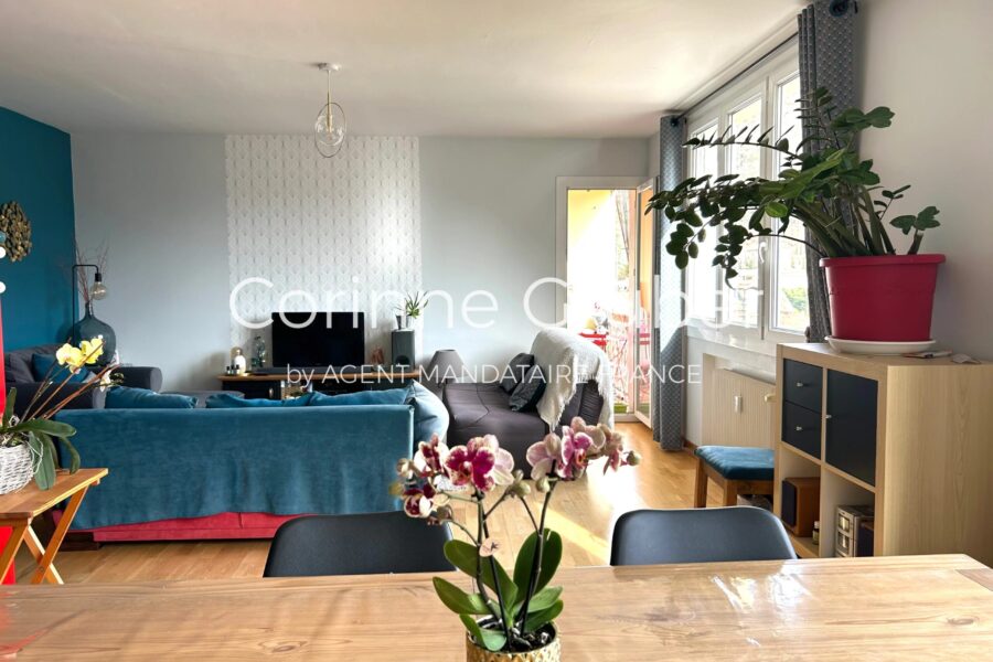 Appartement à vendre à Digne-les-bains — Vue montagne — photo 5