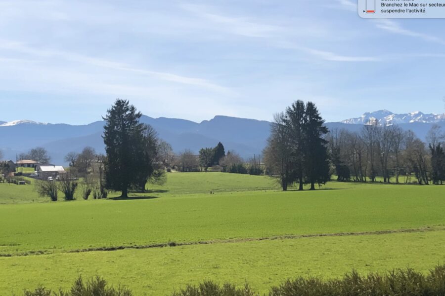 Maison à vendre à Cantaous — Vue nature — photo 11