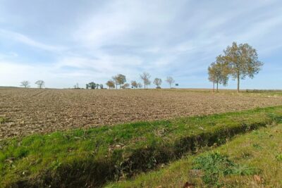 Terrain à vendre à Mirambeau