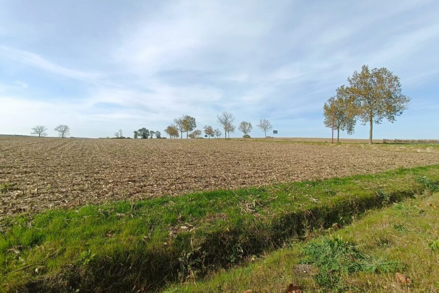 Terrain à vendre à Mirambeau — Vue nature — photo 1