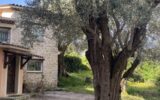 Maison à vendre à Mougins — Vue parc & jardin — photo 3