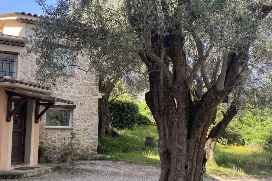 Maison à vendre à Mougins — Vue parc & jardin — photo 3