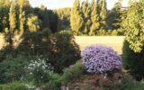 Maison à vendre à Thoiry — Vue nature — photo 16