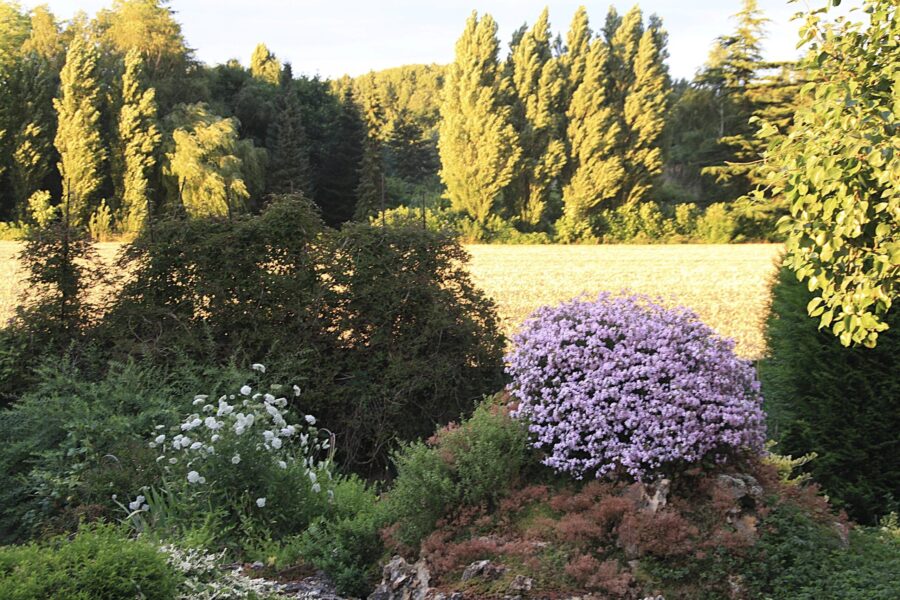 Maison à vendre à Thoiry — Vue nature — photo 16
