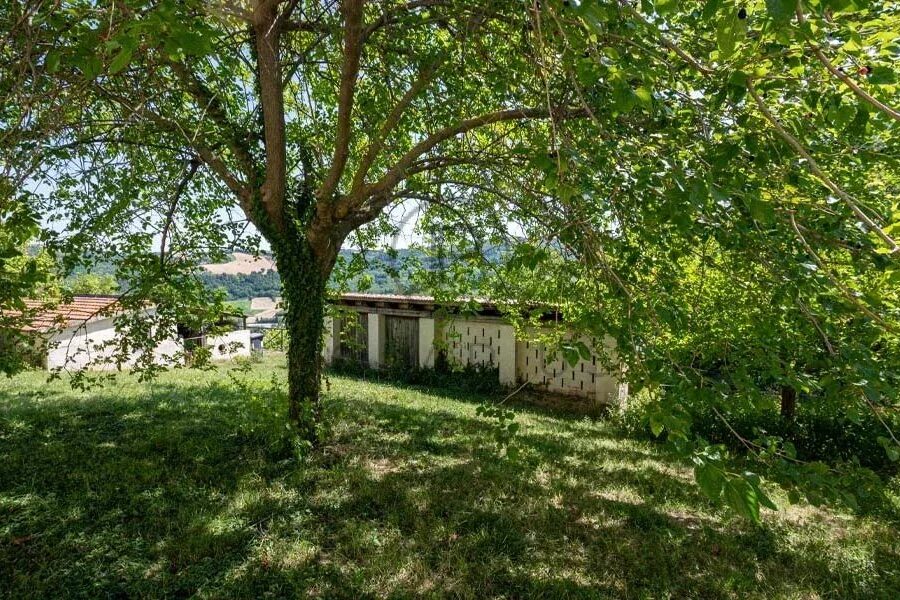 Maison à vendre à Serra san quirico — Vue nature — photo 22