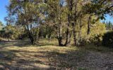 Terrain à vendre à Lorgues — Vue dégagée — photo 1