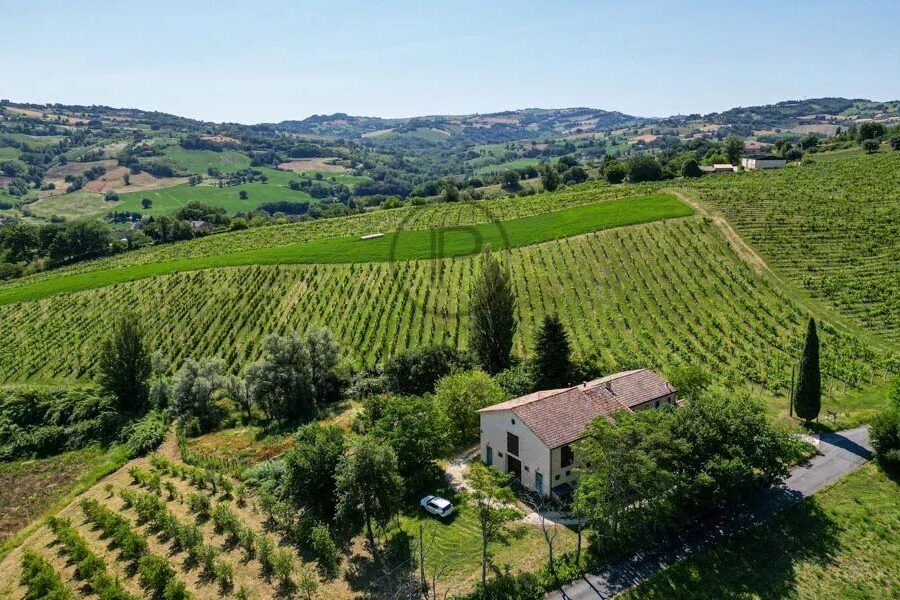 Maison à vendre à Serra san quirico — Vue nature — photo 8