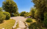 Maison à louer à La turbie — Vue mer — photo 21