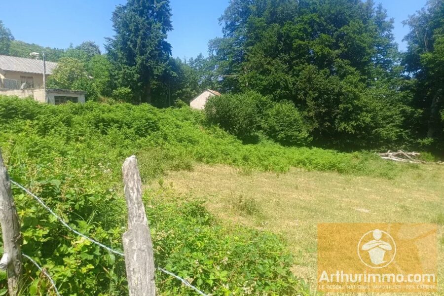 Terrain à vendre à Saint-laurent-de-muret — Vue nature — photo 4