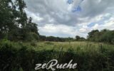 Maison à vendre à Cahagnes — Vue nature — photo 46