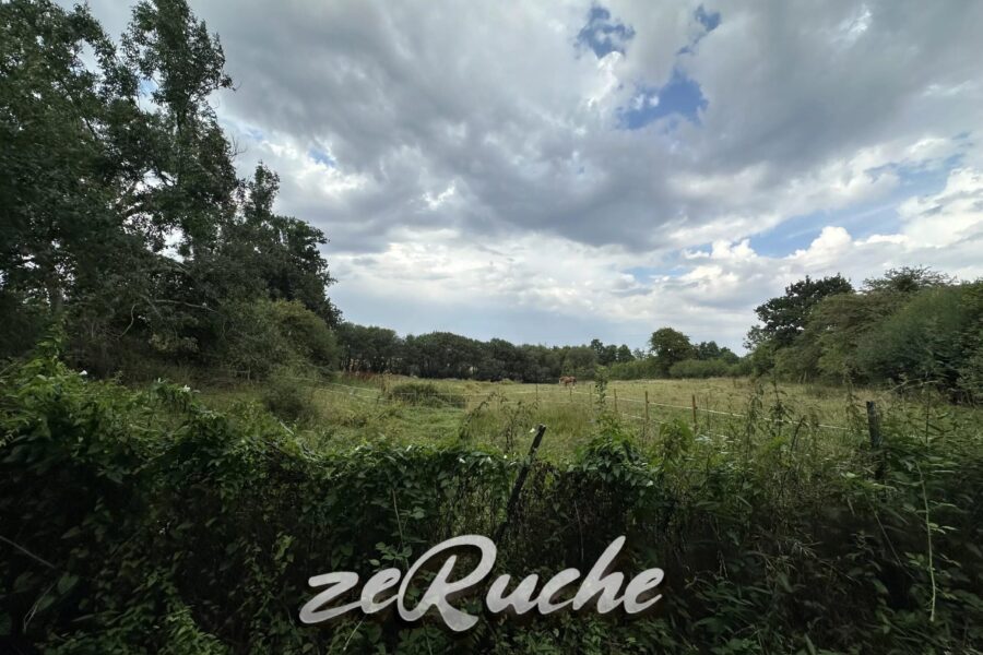 Maison à vendre à Cahagnes — Vue nature — photo 46