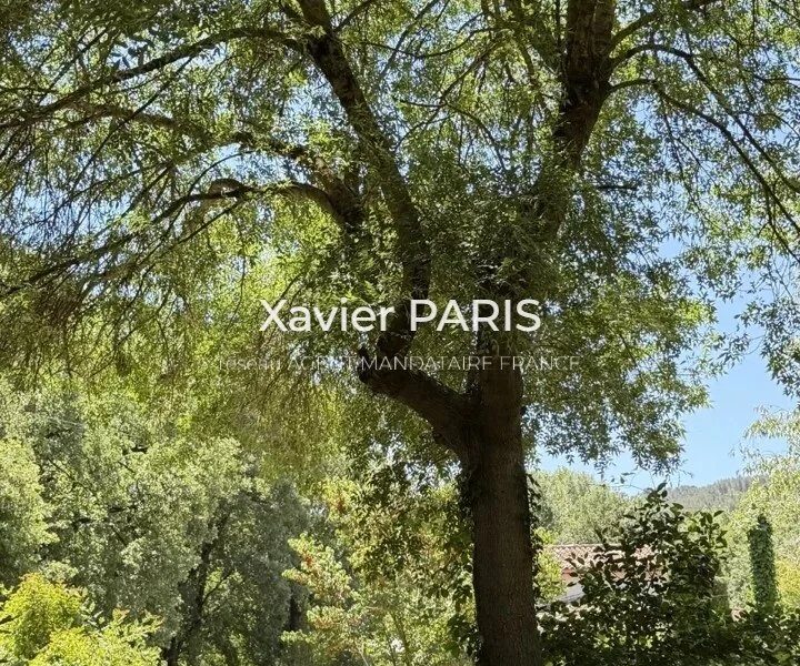 Maison à vendre à Meyreuil — Vue parc & jardin — photo 21