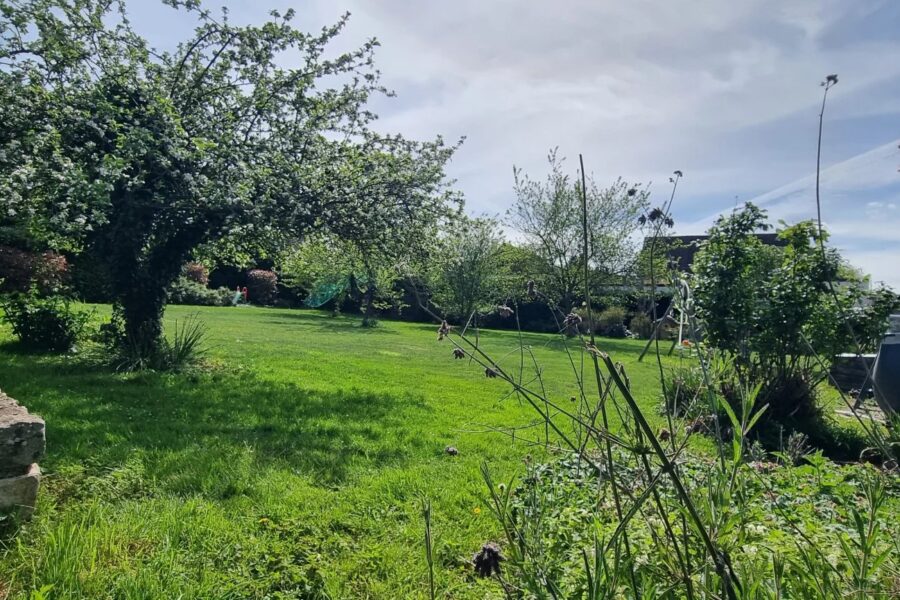 Maison à vendre à Ballainvilliers — Vue parc & jardin — photo 1