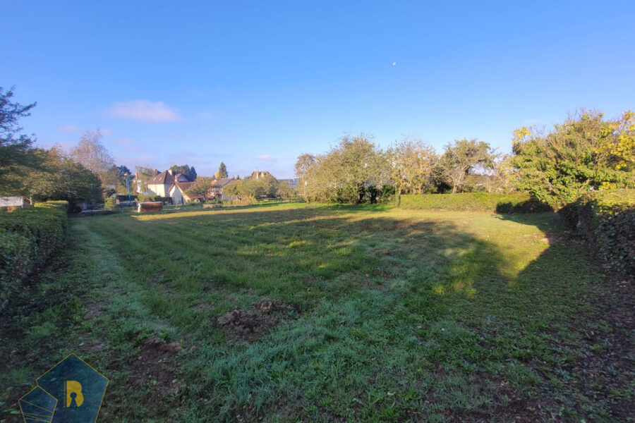 Terrain à vendre à Boussac — Vue nature — photo 6