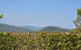 Appartement à vendre à Vidauban — Vue montagne — photo 1