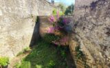 Maison à vendre à Mirebeau — Vue parc & jardin — photo 8