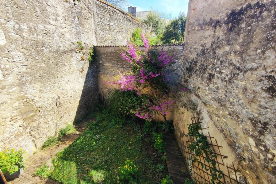 Maison à vendre à Mirebeau — Vue parc & jardin — photo 8