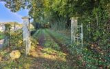 Maison à vendre à Moulins-engilbert — Vue nature — photo 6