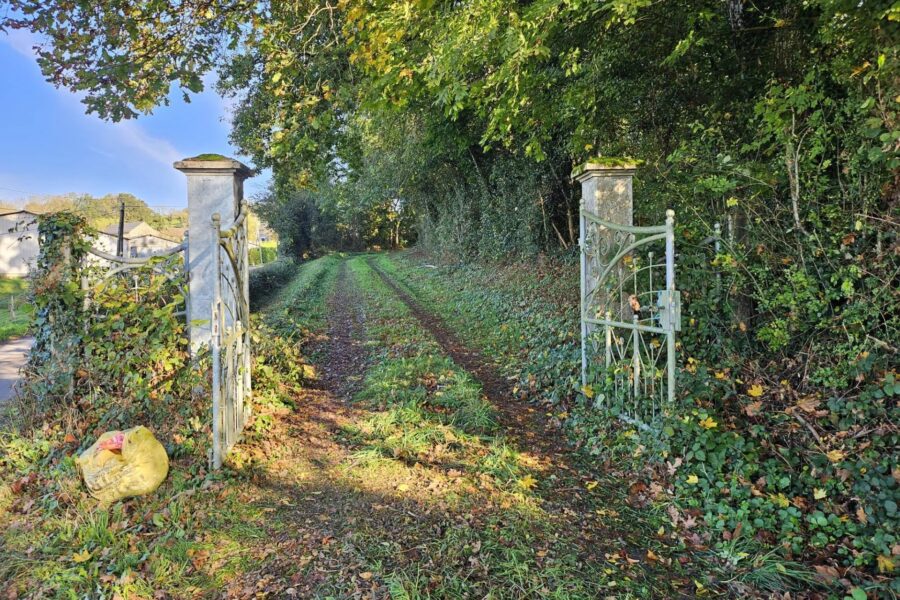 Maison à vendre à Moulins-engilbert — Vue nature — photo 6