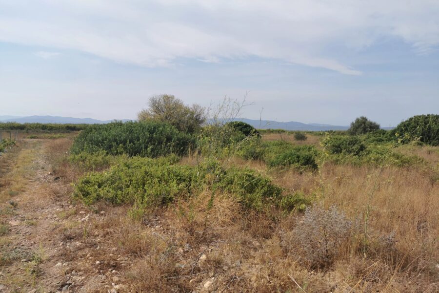 Terrain à vendre à Saint-hippolyte — Vue nature — photo 8