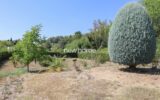 Maison à vendre à Flayosc — Vue nature — photo 29