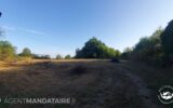 Terrain à vendre à Orléat — Vue nature — photo 2