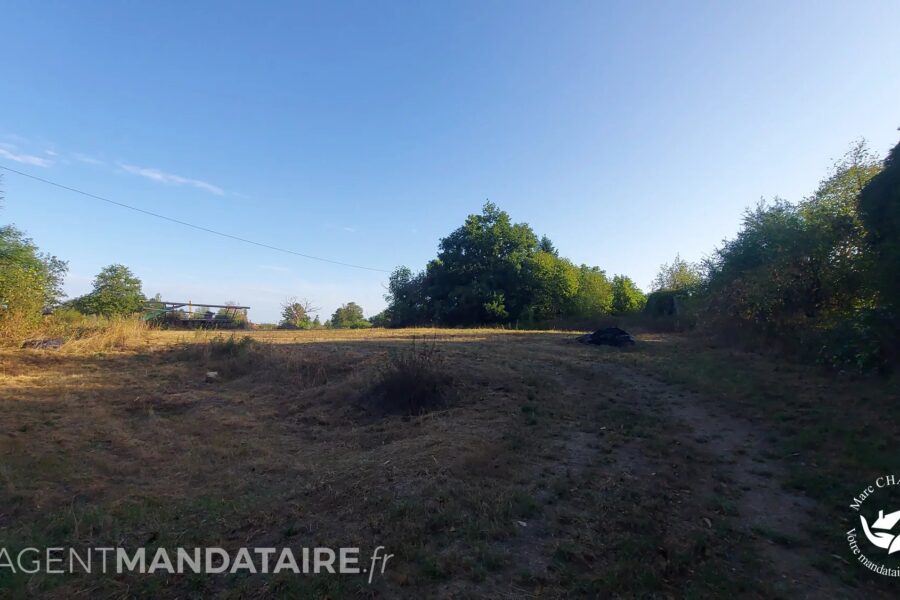 Terrain à vendre à Orléat — Vue nature — photo 2
