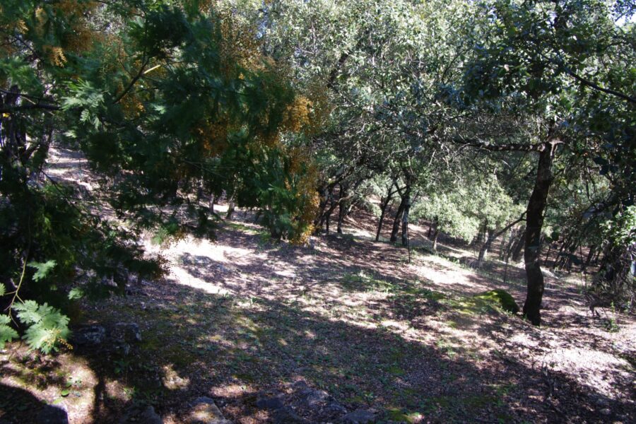 Maison à vendre à Lorgues — Vue nature — photo 17