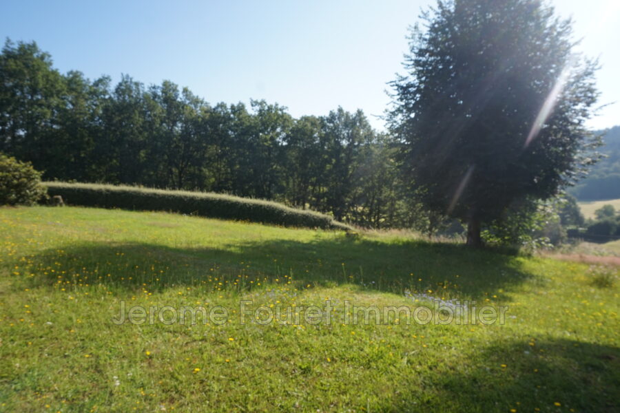 Maison à louer à Egletons — Vue nature — photo 7
