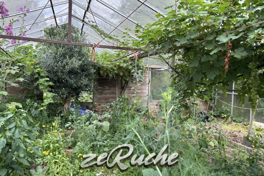 Maison à vendre à Cahagnes — Vue nature — photo 43