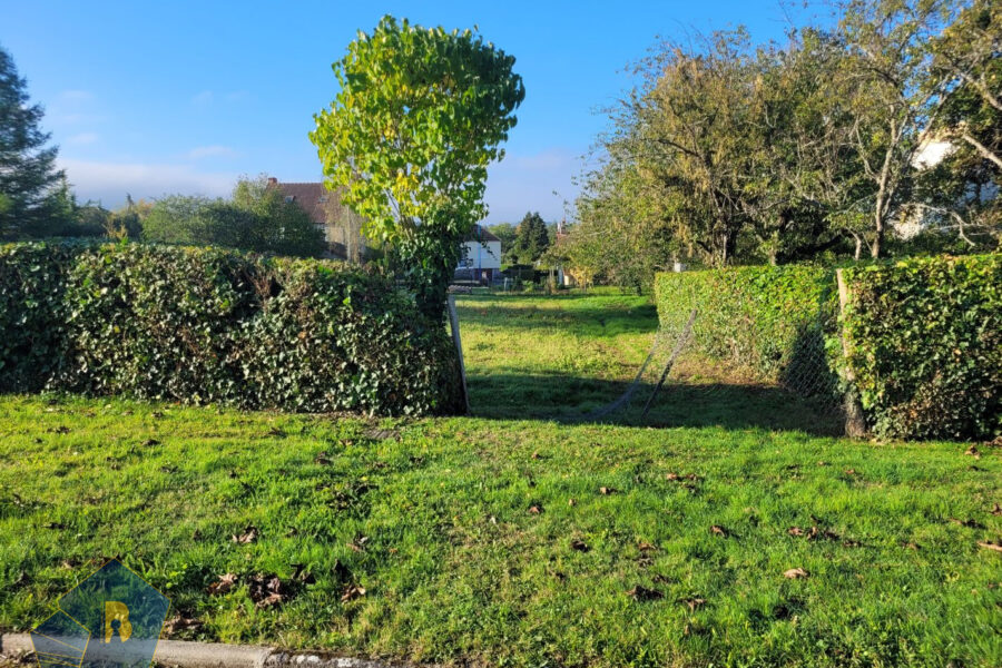 Terrain à vendre à Boussac — Vue nature — photo 2