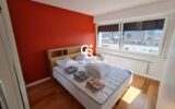 Appartement à louer à Annemasse — Vue montagne — photo 11