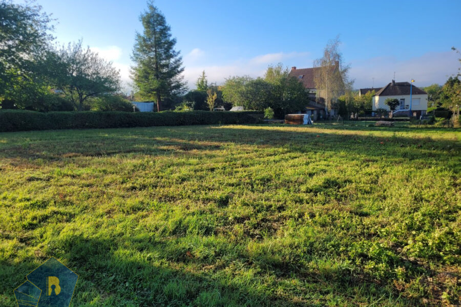 Terrain à vendre à Boussac — Vue nature — photo 4