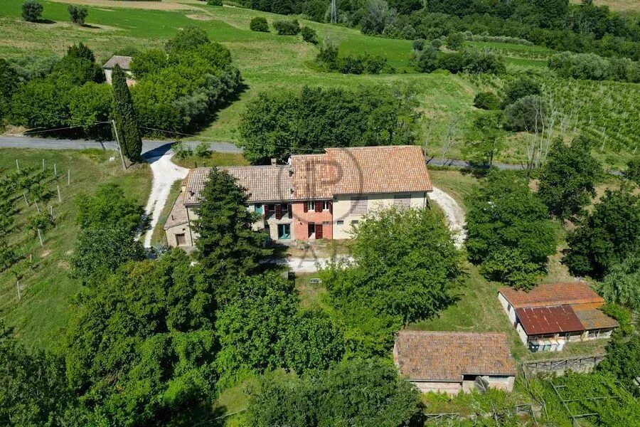Maison à vendre à Serra san quirico — Vue nature — photo 10