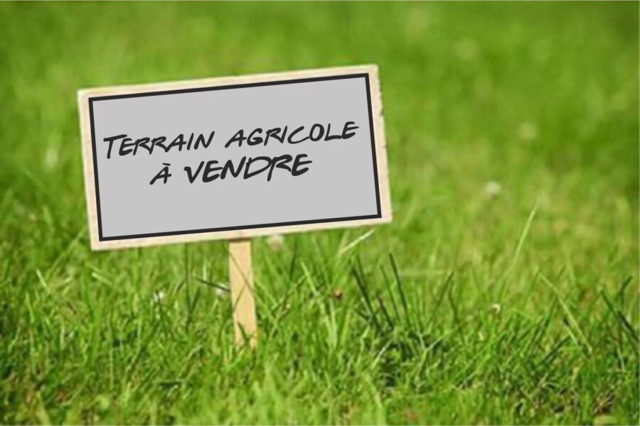 Terrain à vendre à Aigueperse — Vue dégagée — photo 2