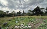 Maison à vendre à Cahagnes — Vue nature — photo 50